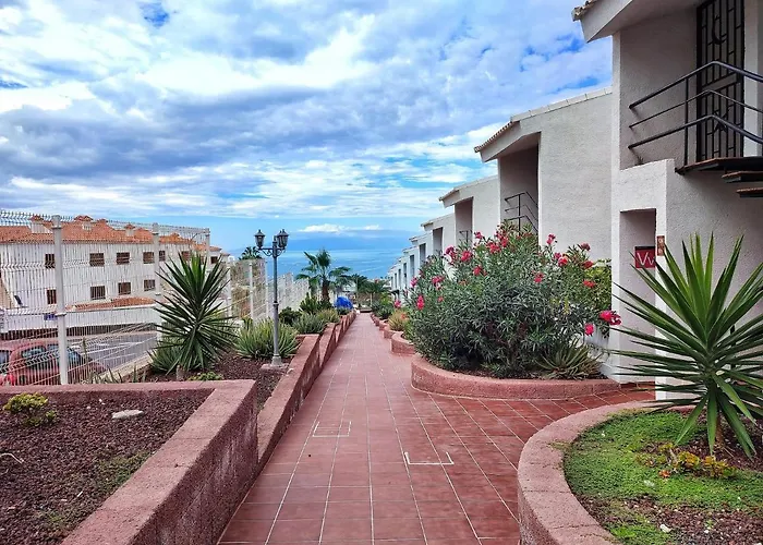 Chill Out Canarias Адехе